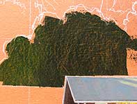 Hanamu Dusk Trees